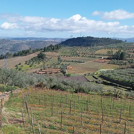 Douro Feels Like