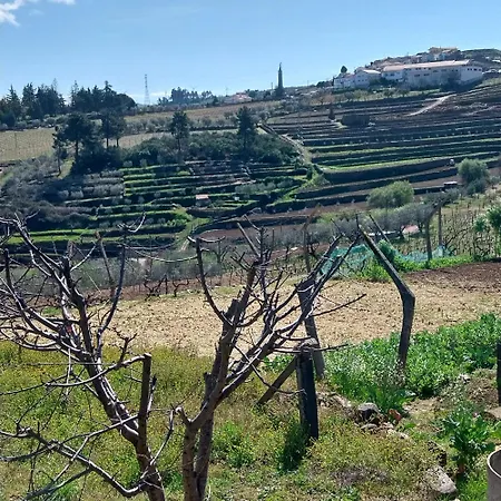 Douro Feels Like * Fontelo (Viseu)