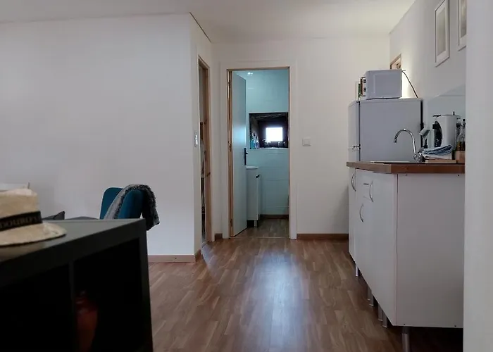 Douro Feels Like Fontelo (Viseu)